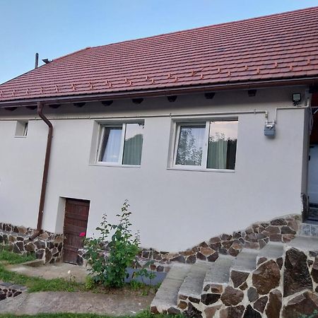 Casa Schei Villa Brasov Ngoại thất bức ảnh