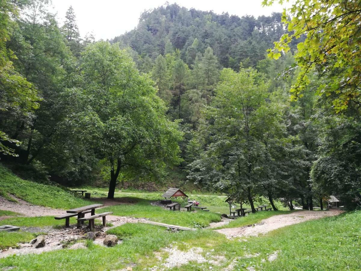 Casa Schei Villa Brasov Ngoại thất bức ảnh